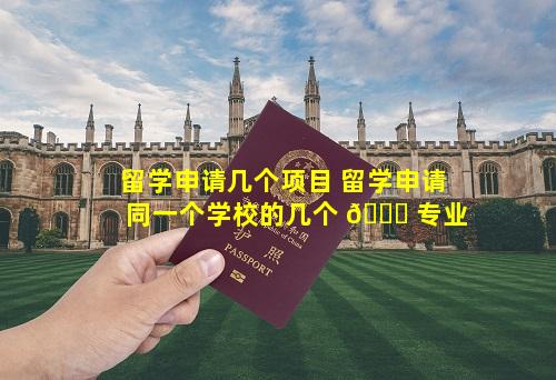 留学申请几个项目 留学申请同一个学校的几个 🐘 专业